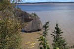 DSC_0051.NEF