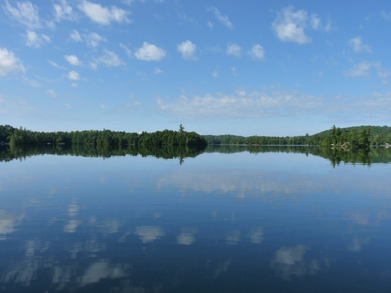 p1000430.jpg