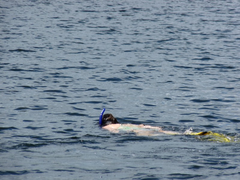 p1000451.jpg