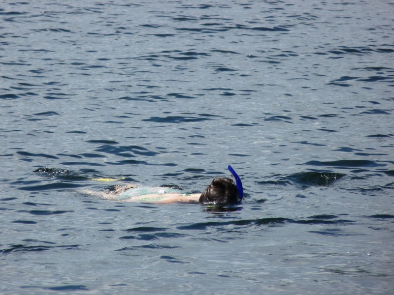 p1000452.jpg