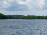 p1000453.jpg