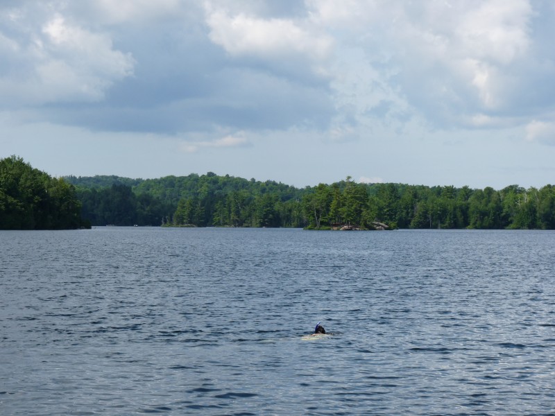 p1000453.jpg