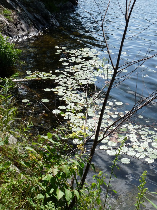 p1000456.jpg