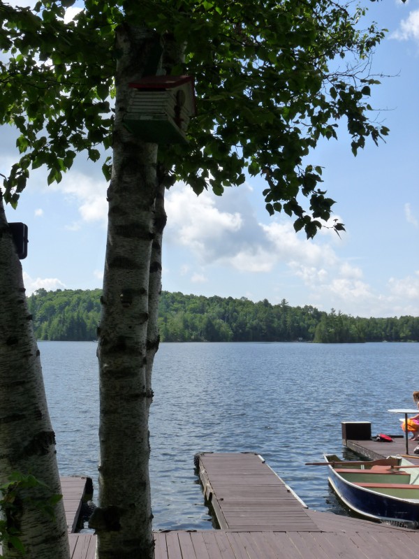 p1000463.jpg