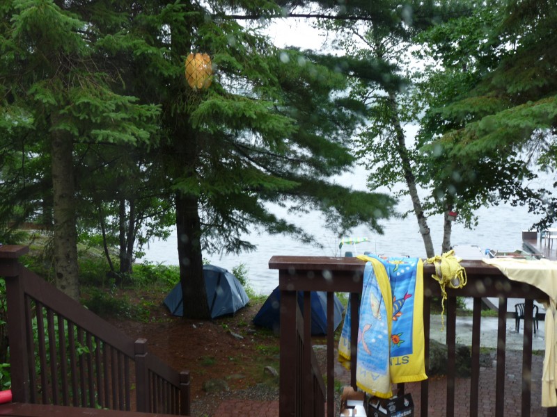 p1000554.jpg