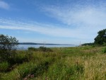 p1000792.jpg
