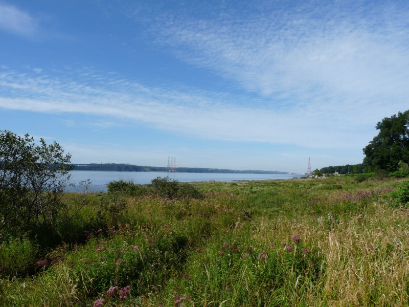 p1000792.jpg