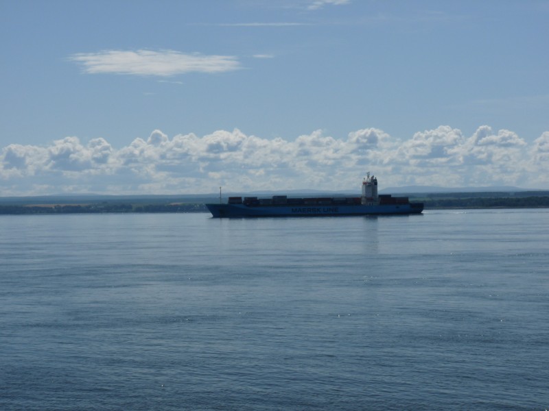 p1000803.jpg