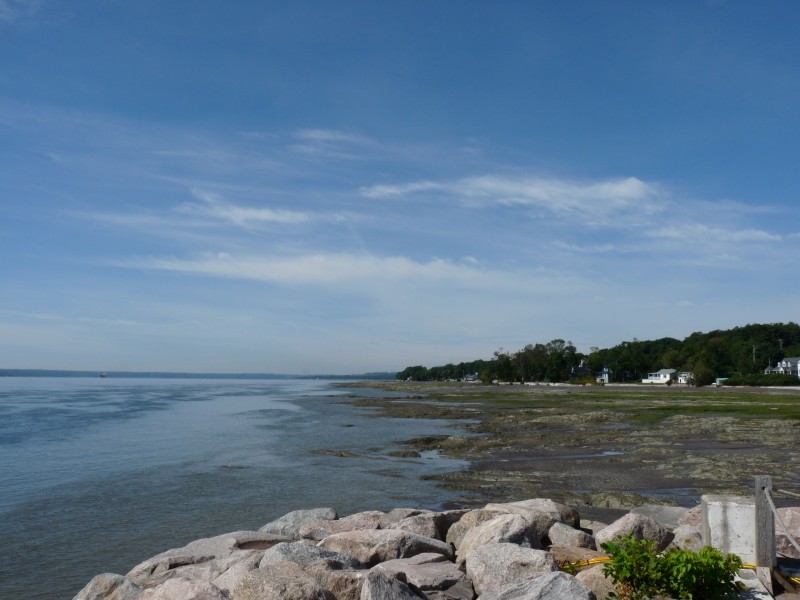 p1000805.jpg