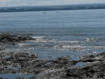 p1000834.jpg