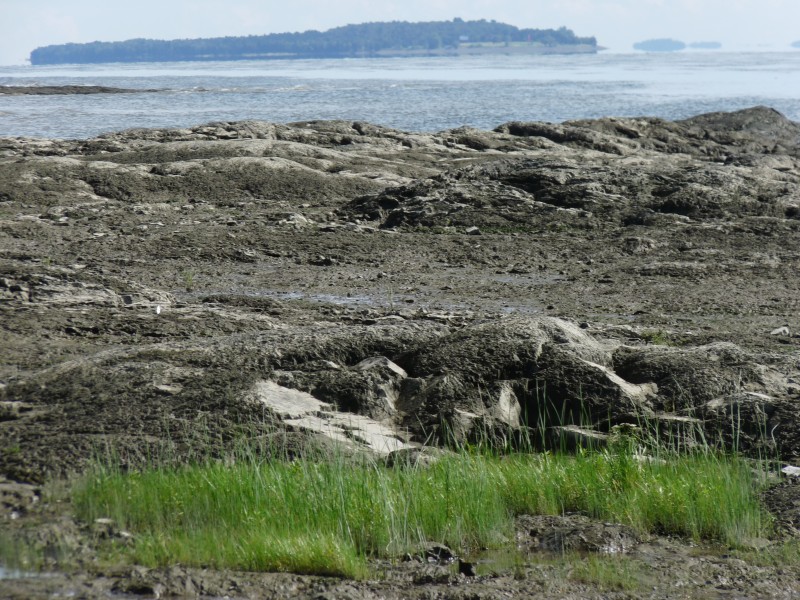 p1000835.jpg