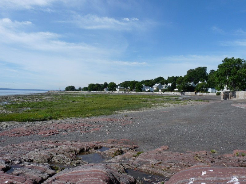 p1000837.jpg