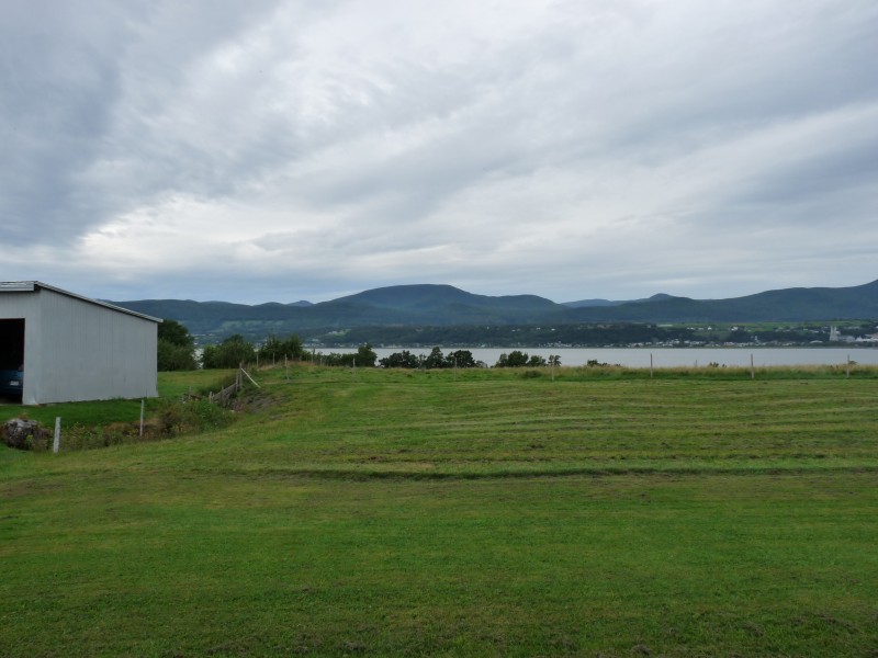 p1000899.jpg