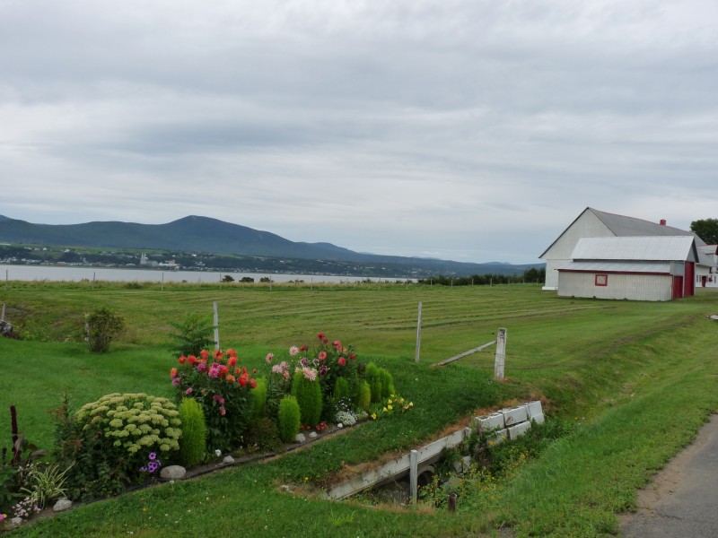 p1000905.jpg