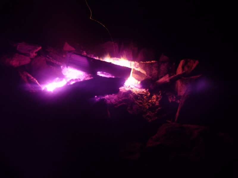 p1010120.jpg