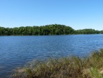 p1010147.jpg