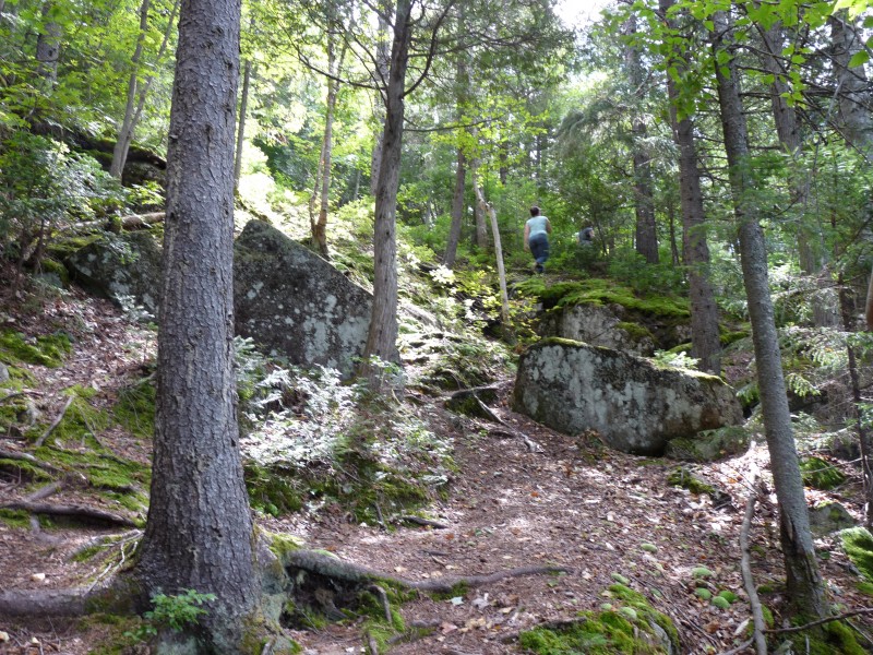 p1010182.jpg
