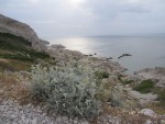 IMG_3493
