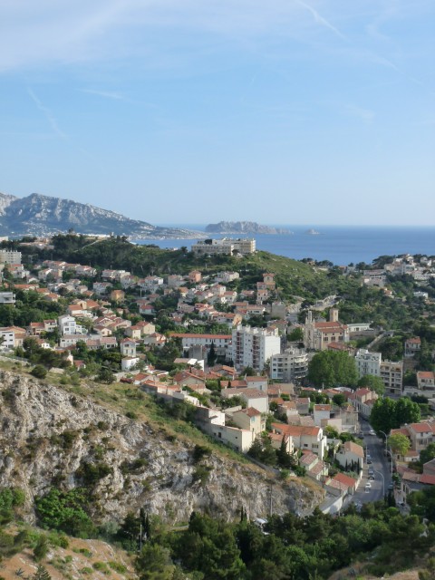 P1030226
