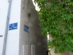 P1030503