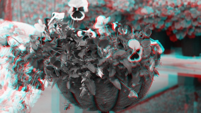 PHOTO 3D