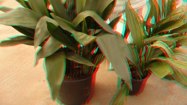 PHOTO 3D