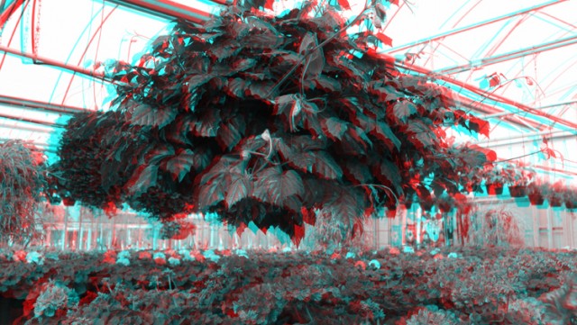 PHOTO 3D